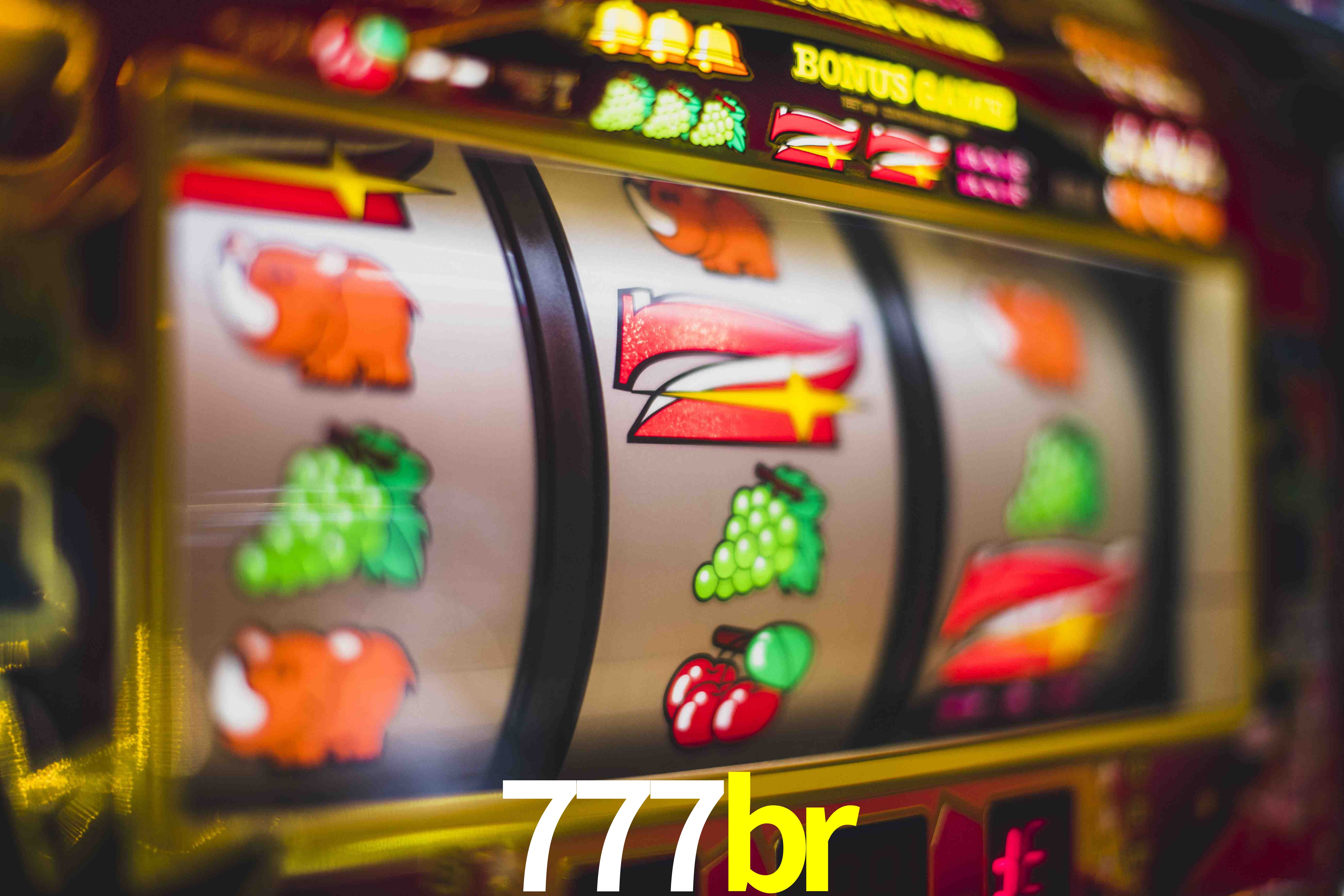 Programa VIP 777br